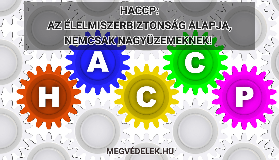 Hol tudom megn&eacute;zni az ad&oacute;sz&aacute;ml&aacute;m &eacute;s az ad&oacute;h&aacute;tral&eacute;kom &Uacute;tmutat&oacute; v&aacute;llalkoz&oacute;knak