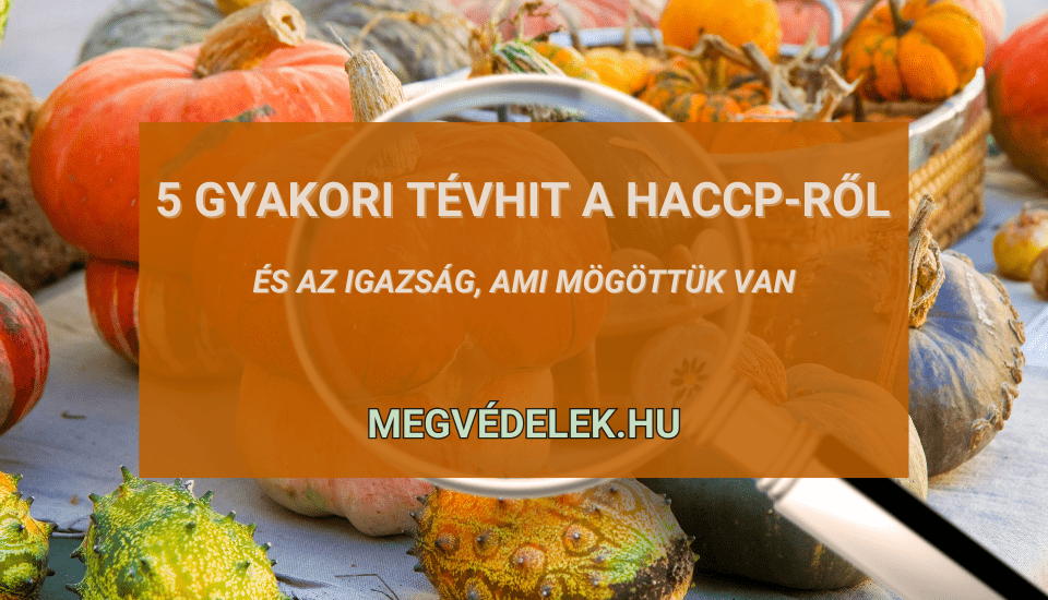 Hol tudom megn&eacute;zni az ad&oacute;sz&aacute;ml&aacute;m &eacute;s az ad&oacute;h&aacute;tral&eacute;kom &Uacute;tmutat&oacute; v&aacute;llalkoz&oacute;knak