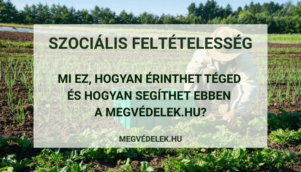 Hol tudom megn&eacute;zni az ad&oacute;sz&aacute;ml&aacute;m &eacute;s az ad&oacute;h&aacute;tral&eacute;kom &Uacute;tmutat&oacute; v&aacute;llalkoz&oacute;knak