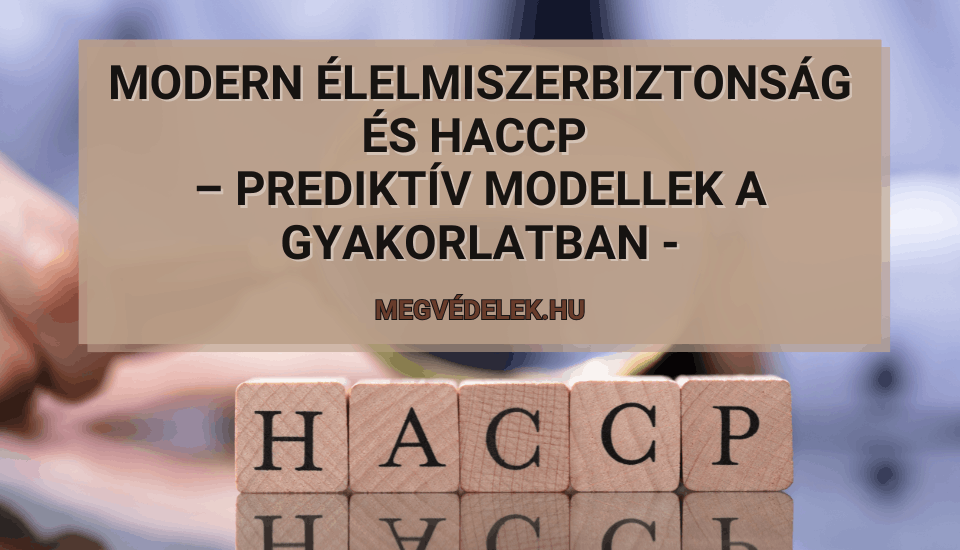 Hol tudom megn&eacute;zni az ad&oacute;sz&aacute;ml&aacute;m &eacute;s az ad&oacute;h&aacute;tral&eacute;kom &Uacute;tmutat&oacute; v&aacute;llalkoz&oacute;knak