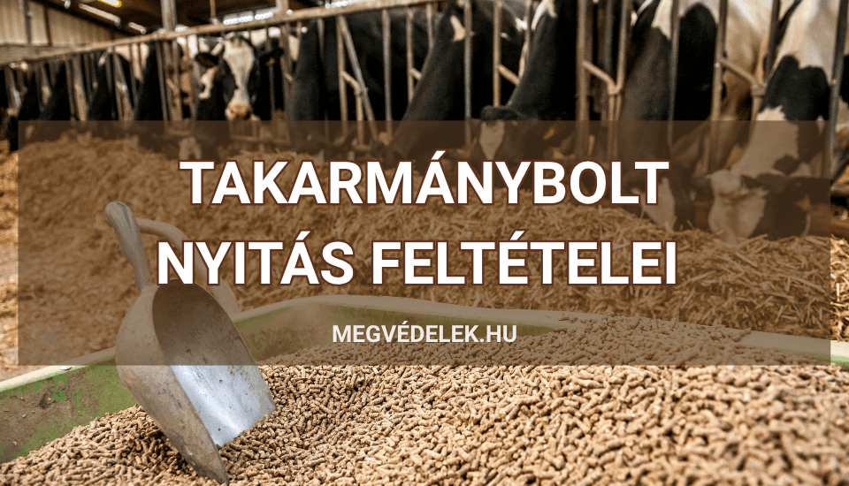 Hol tudom megn&eacute;zni az ad&oacute;sz&aacute;ml&aacute;m &eacute;s az ad&oacute;h&aacute;tral&eacute;kom &Uacute;tmutat&oacute; v&aacute;llalkoz&oacute;knak