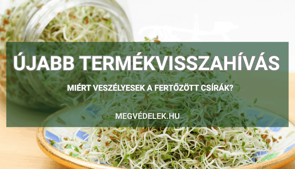 Hol tudom megn&eacute;zni az ad&oacute;sz&aacute;ml&aacute;m &eacute;s az ad&oacute;h&aacute;tral&eacute;kom &Uacute;tmutat&oacute; v&aacute;llalkoz&oacute;knak