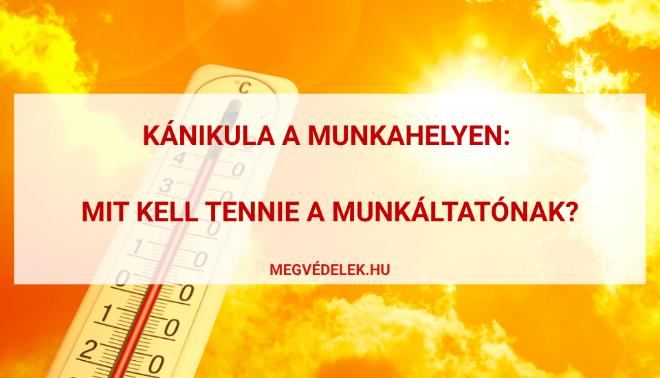 Hol tudom megn&eacute;zni az ad&oacute;sz&aacute;ml&aacute;m &eacute;s az ad&oacute;h&aacute;tral&eacute;kom &Uacute;tmutat&oacute; v&aacute;llalkoz&oacute;knak